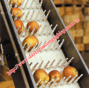 Băng tải lưới nhựa chế biến thực phẩm